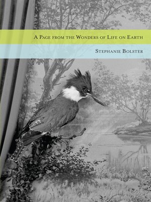 cover image of A Page from the Wonders of Life on Earth
